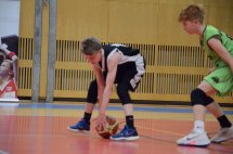 DSC_0011 (Kopírovat)