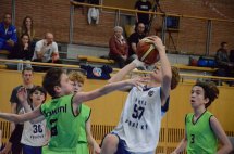 DSC_0017 (Kopírovat)