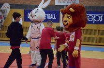 DSC_0017 (Kopírovat)