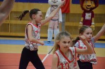 DSC_0038 (Kopírovat)