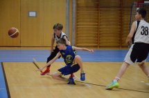 DSC_0010 (Kopírovat)