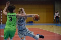 DSC_0037 (Kopírovat)