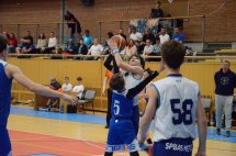 DSC_0029 (Kopírovat)